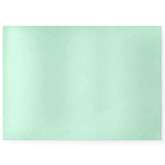 Пластина поликарбонатная 105*91*1 мм