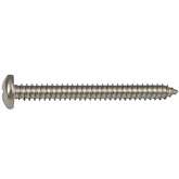 Саморез п/сф DIN7981 М  4,8x100 шлиц РН А2 нерж. (20 шт.)